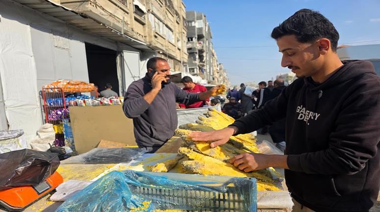 النازح هندي الهندي يعود لمهنة تمليح الأسماك في خيمته بخان يونس مع اقتراب عيد الفطر، بعد توقف دام نحو عامين بسبب العدوان الإسرائيلي